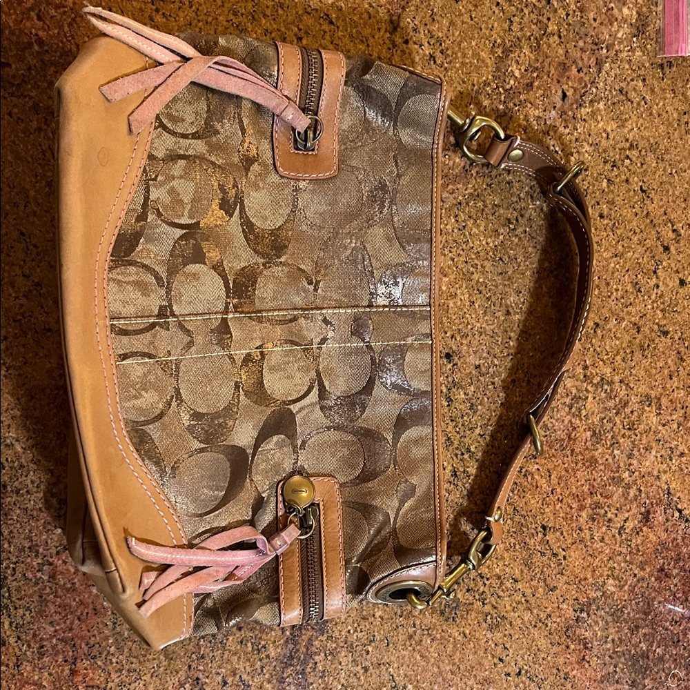 COACH vintage Hobo 2006